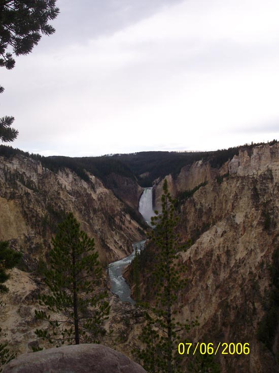 2006 family reunion in Yellowstone National Park